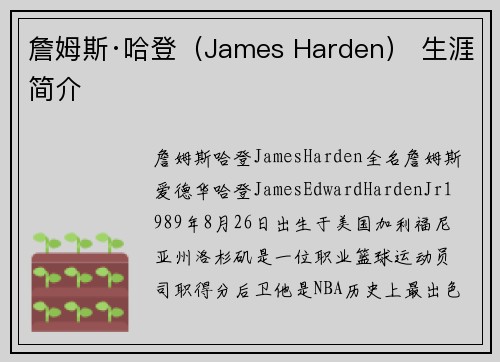 詹姆斯·哈登（James Harden） 生涯简介